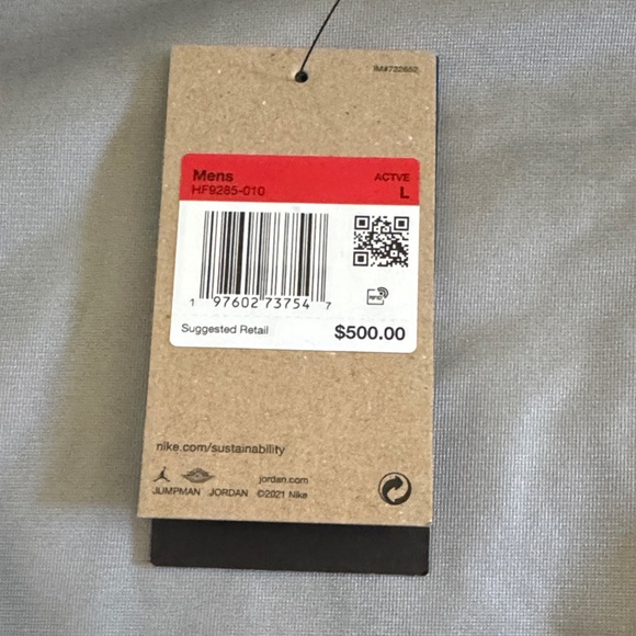 Nike Air Jordan Skyline GORE-TEX Jacket Men’s Size Large NWT - Picture 4 of 9